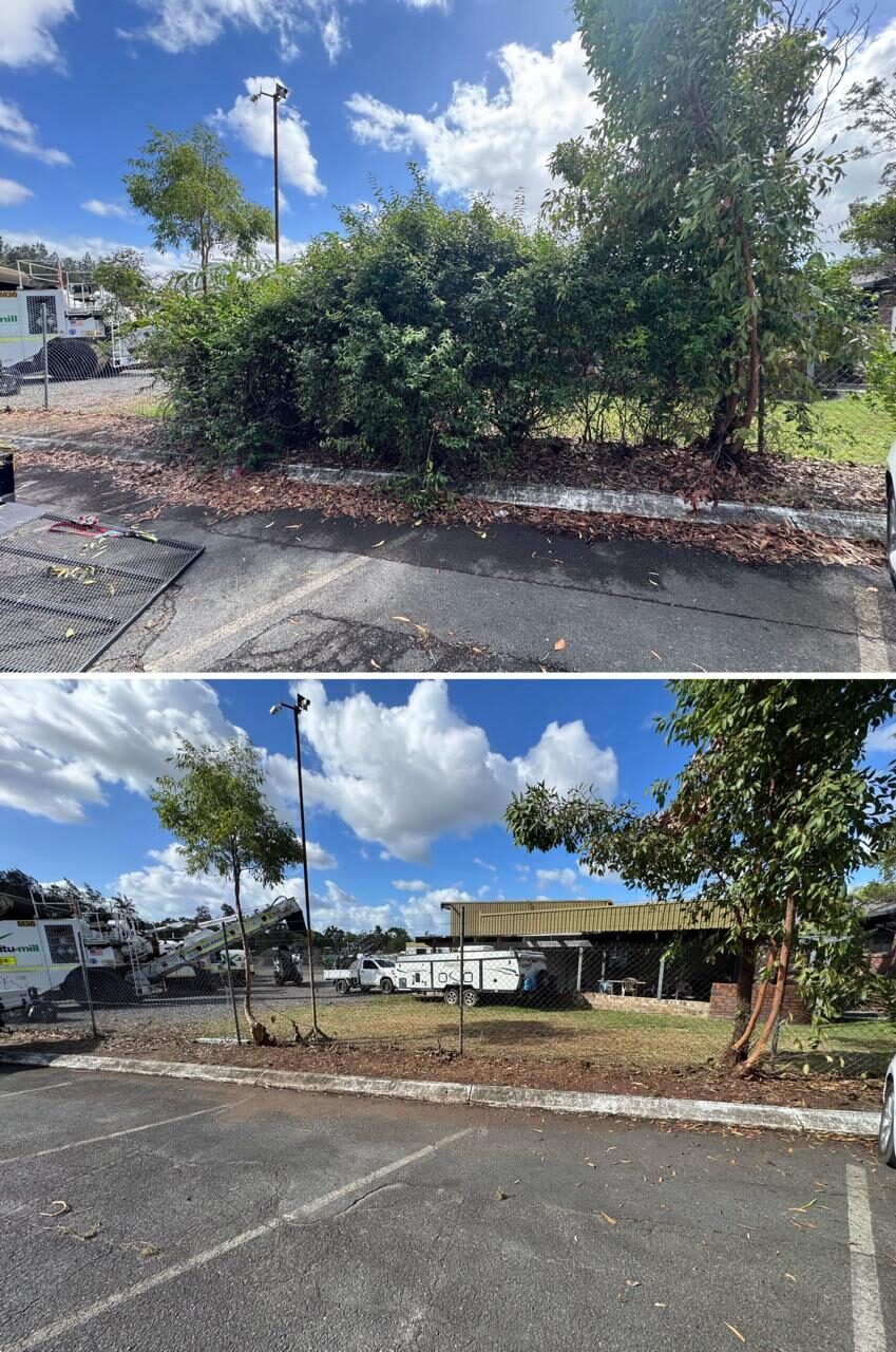 Car park boundary before and after shrub mass removal