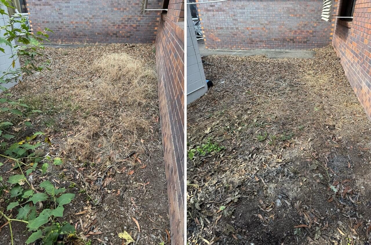Confined garden bed between buildings before and after