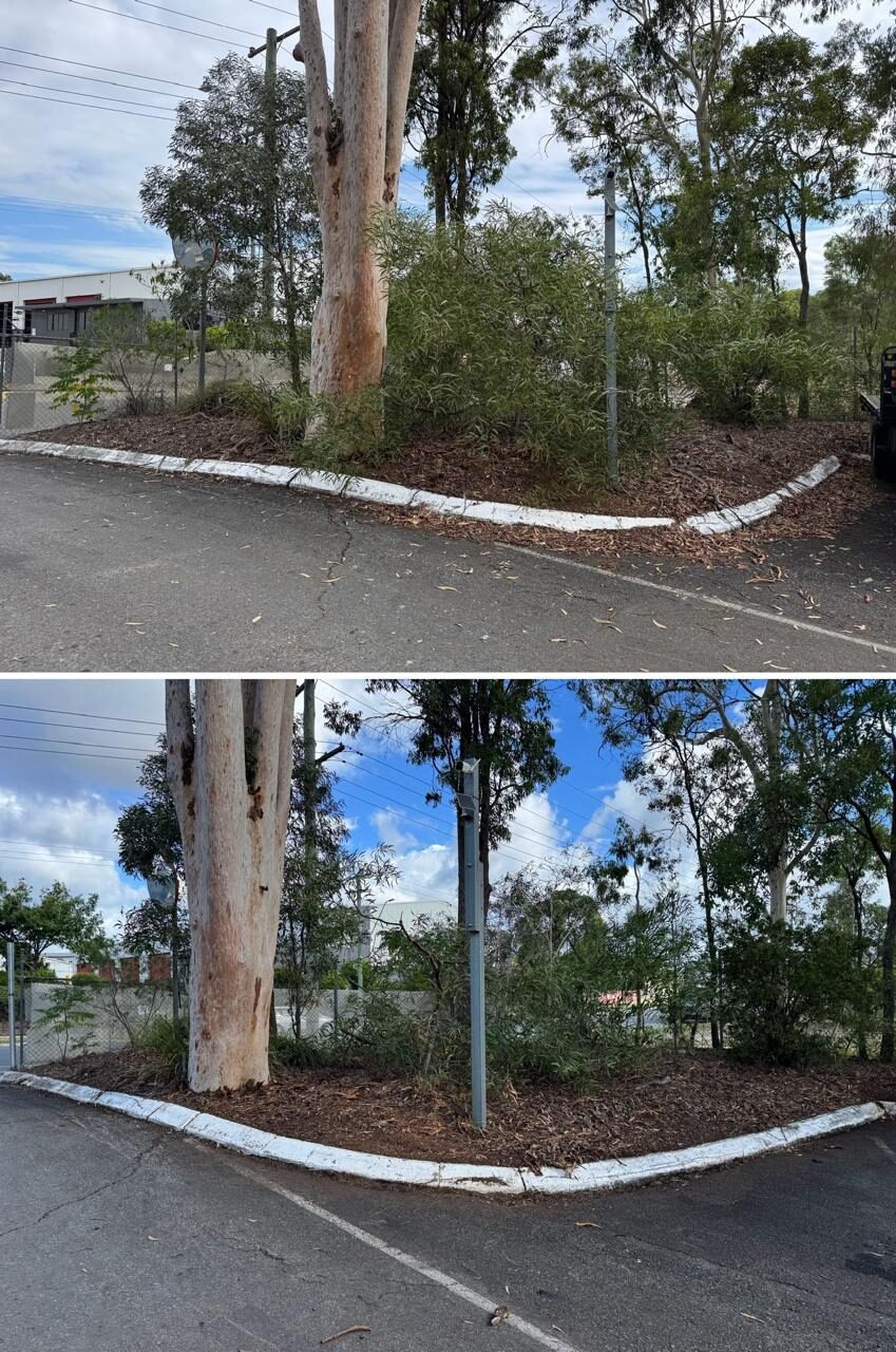 Corner garden bed at the car park kerb before and after