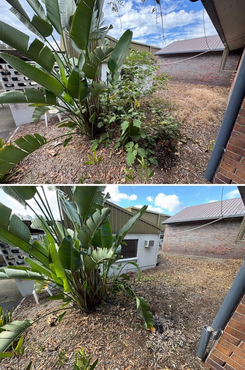 Feature planting bed before and after weeding