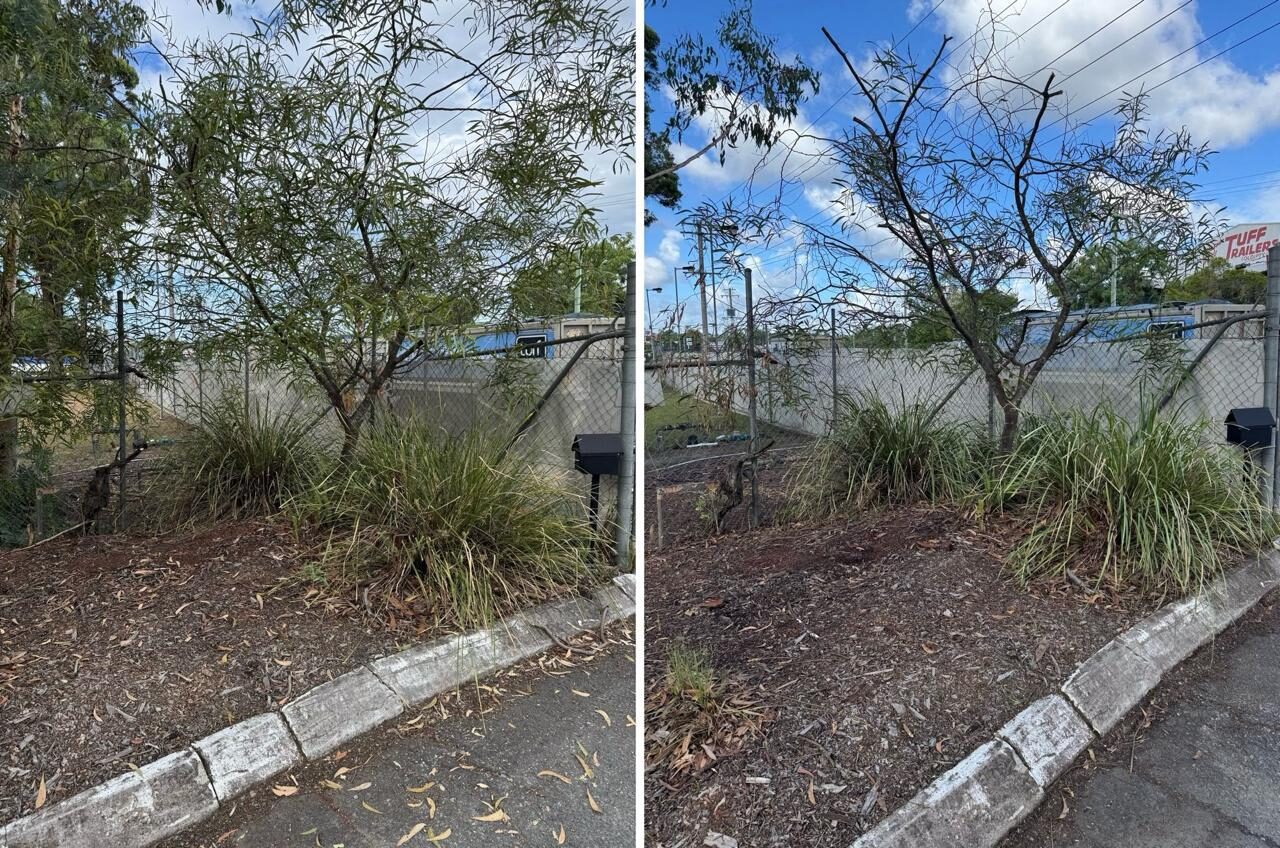 Kerbside bed with ornamental grasses before and after