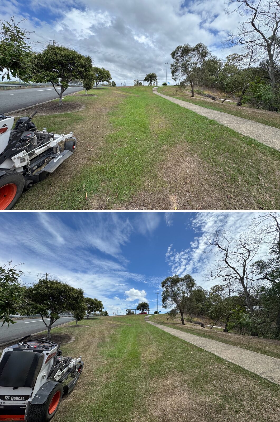 Highway verge before and after mowing