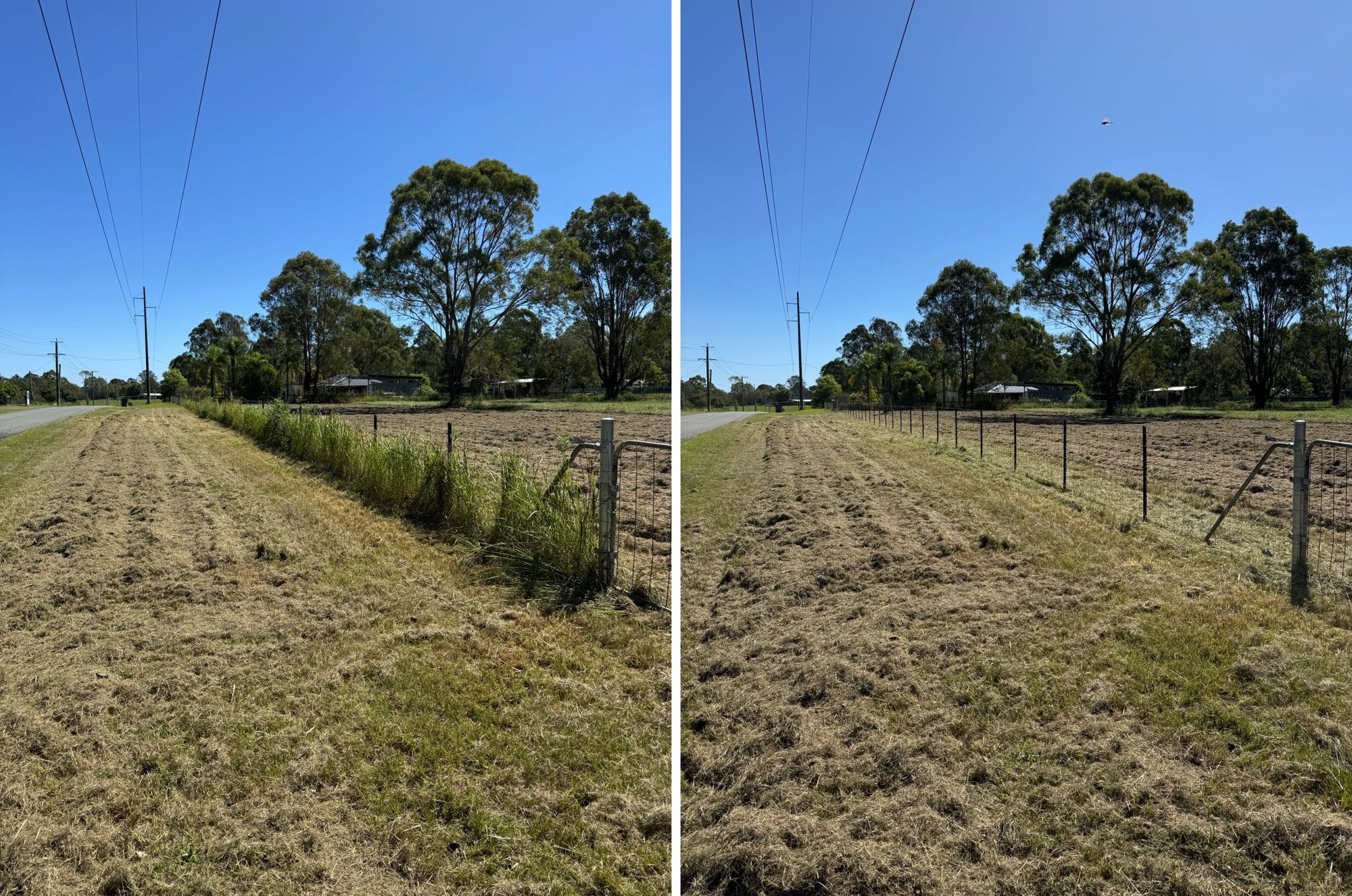 Professional fence line clearing showing clear access along rural property boundary
