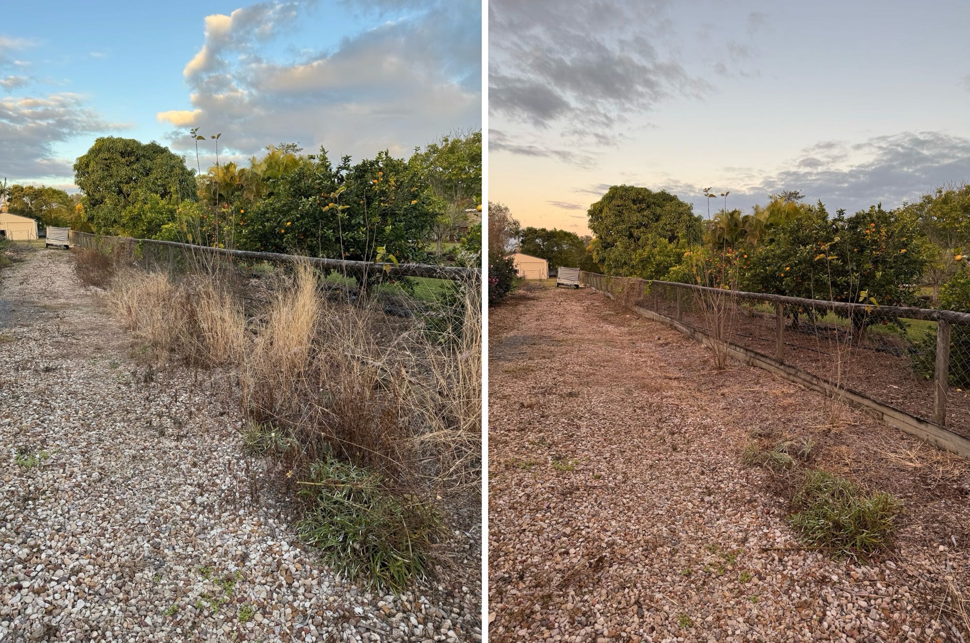 Acreage property restoration with fence line clearing