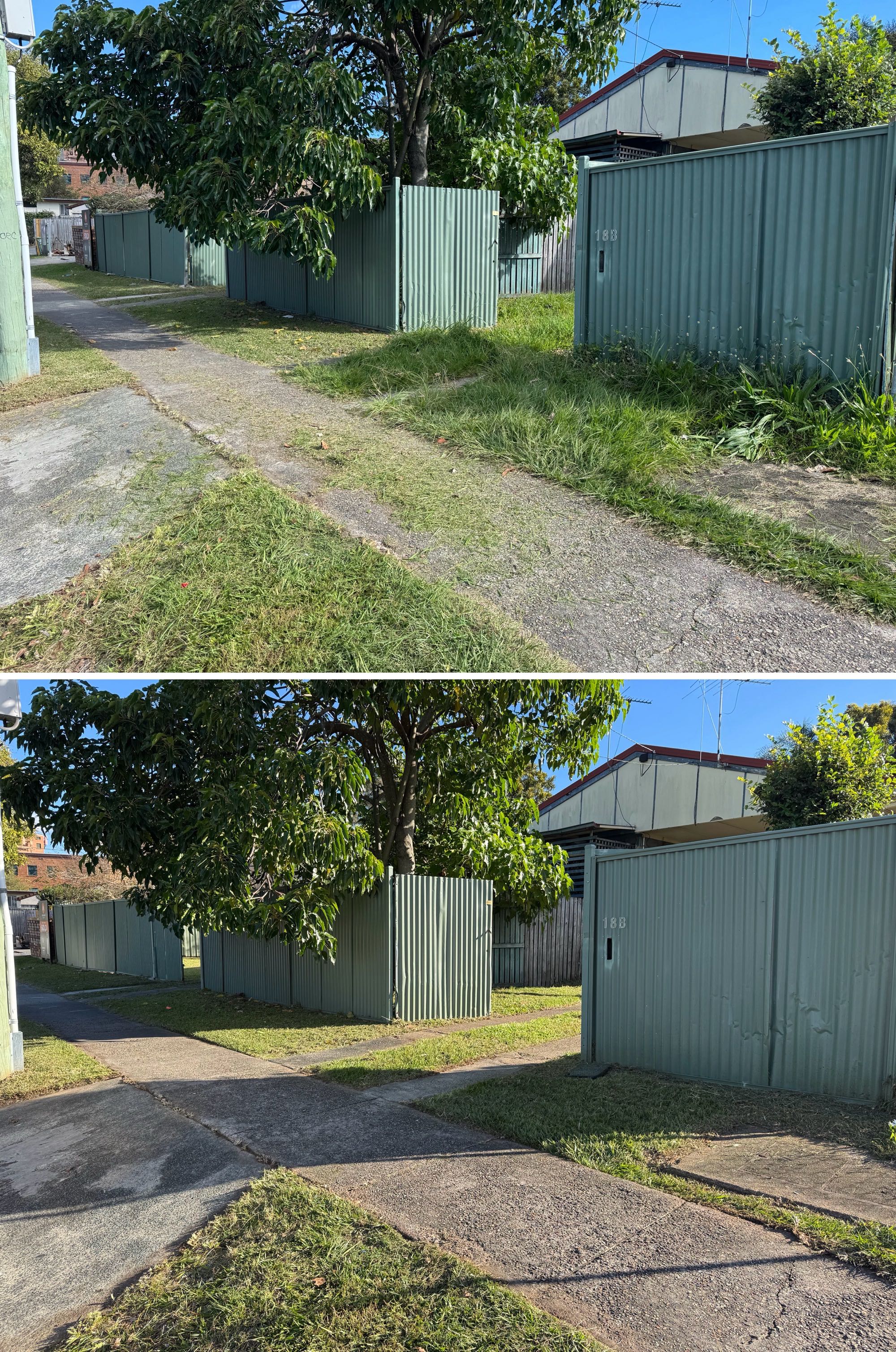 Dramatic before and after garden restoration showing overgrown garden transformed into beautiful garden space