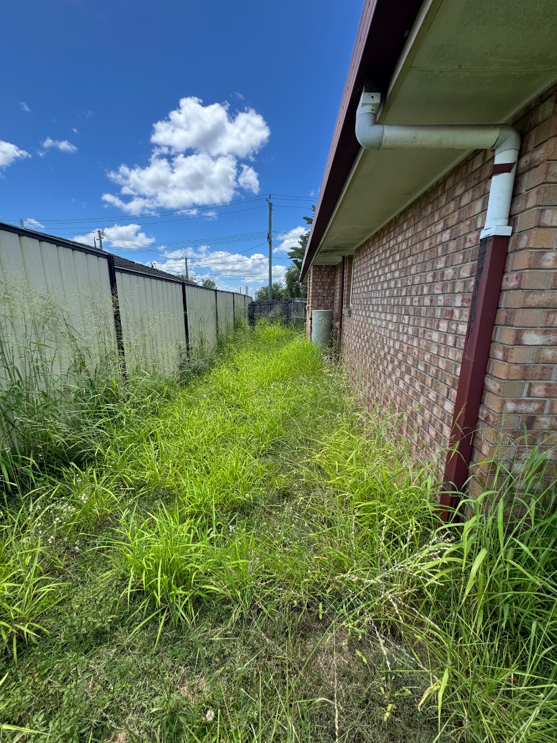 Thumbnail before: Garden transformation - before and after comparison