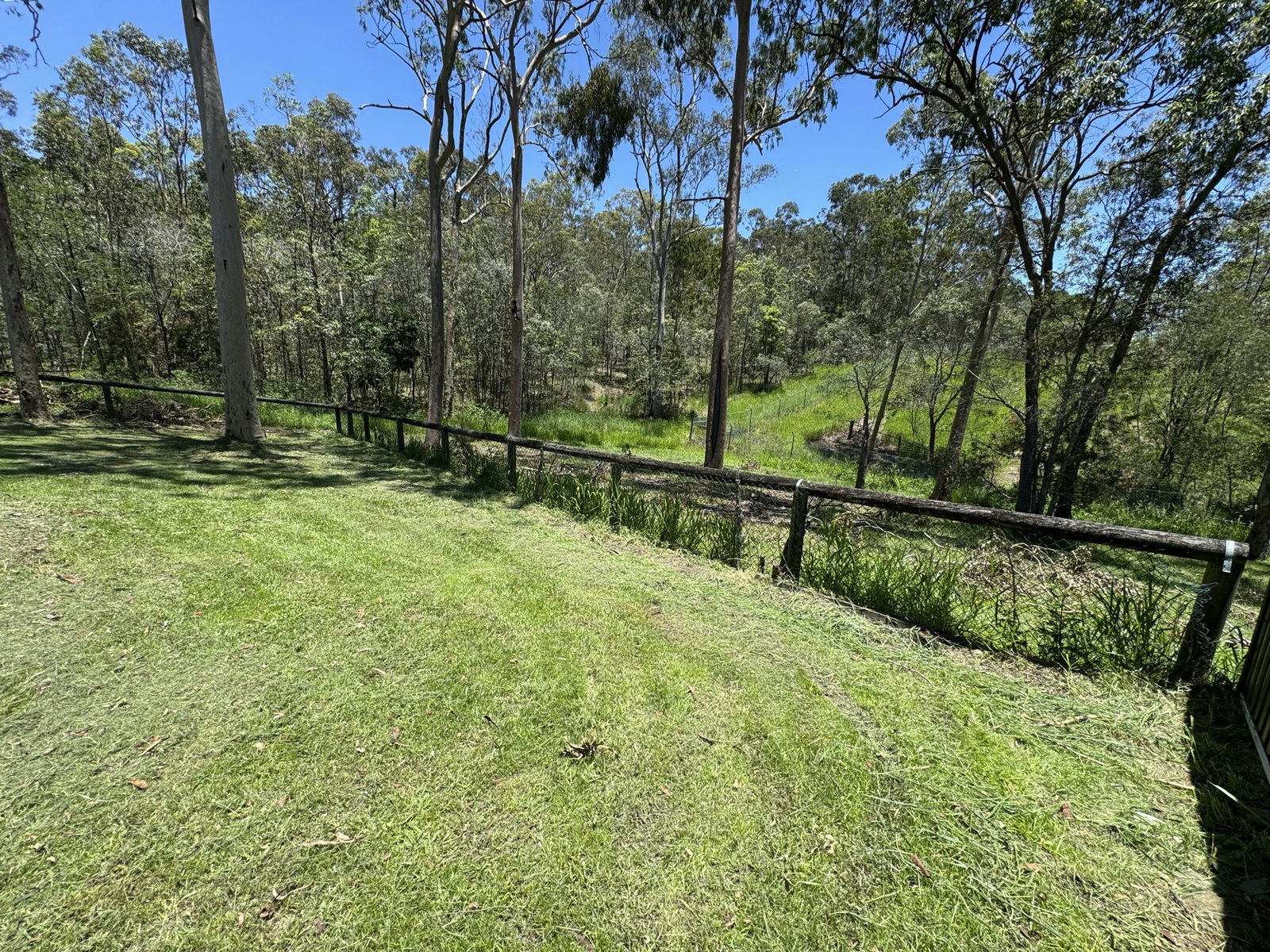 The Beenleigh lower slope cut back with the timber boundary fence clear