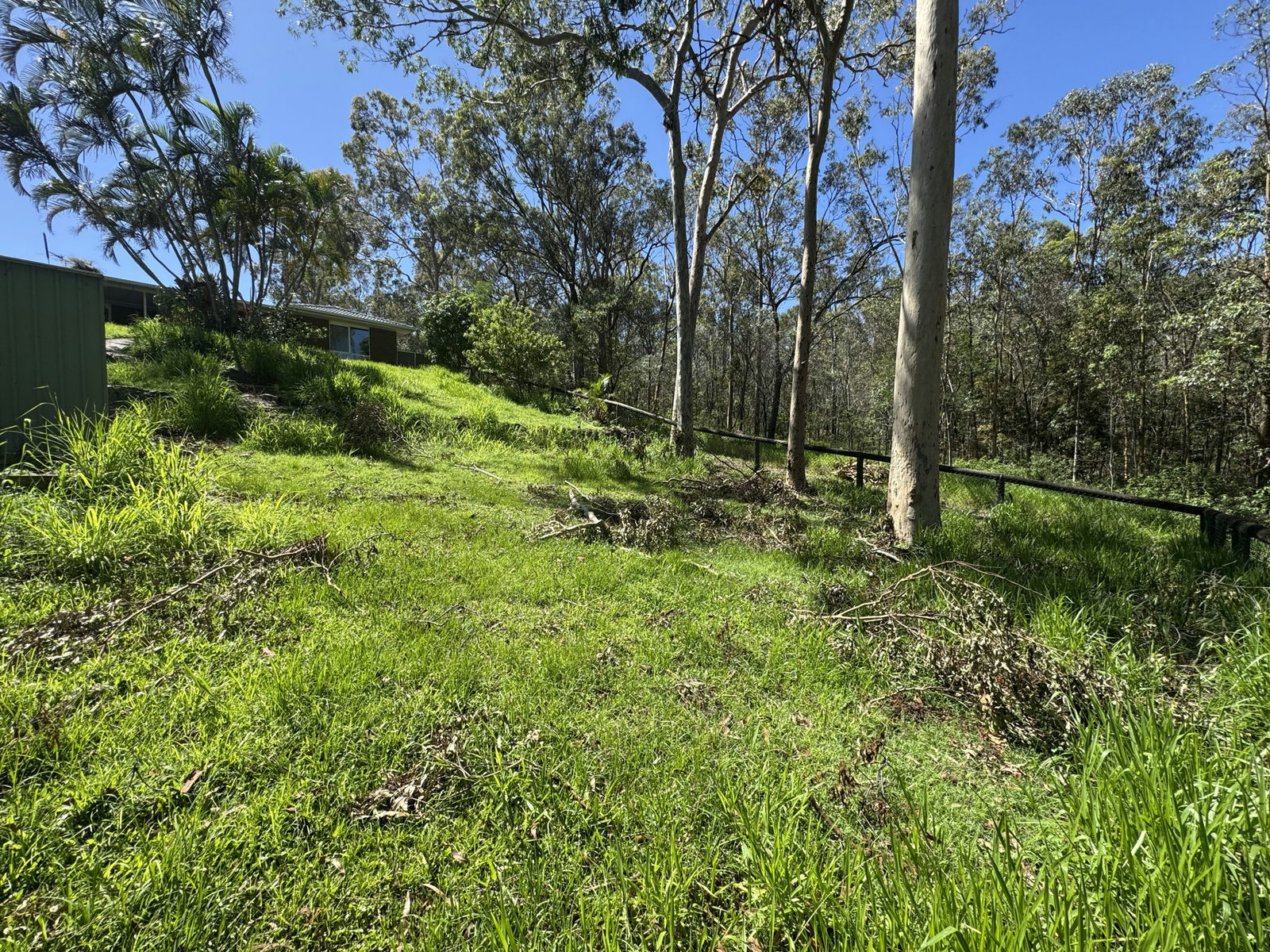 Long grass and fallen timber across a sloped Beenleigh block backing onto bushland