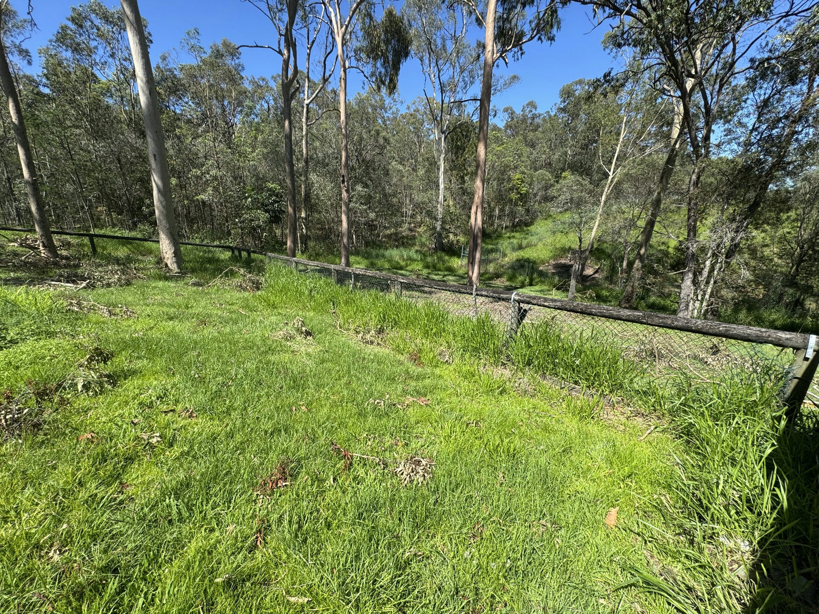 Overgrown lower slope running down to the timber boundary fence at a Beenleigh property
