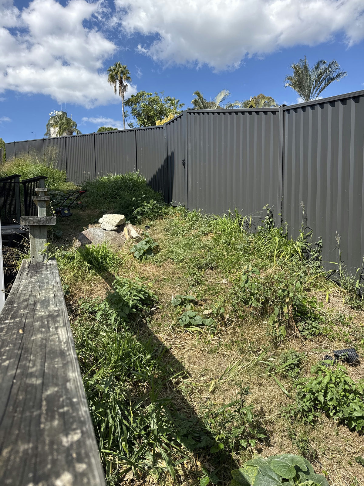Weeds and grass covering the sloped rear boundary strip of an Edens Landing block