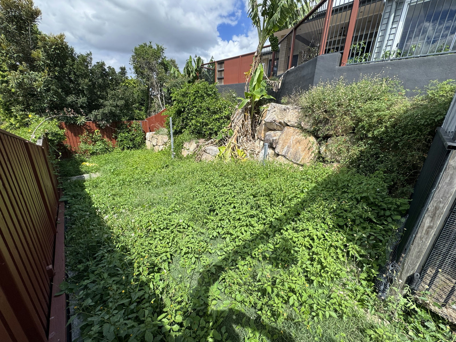 Dense weed growth covering the lower terrace of a Holmview garden below the deck