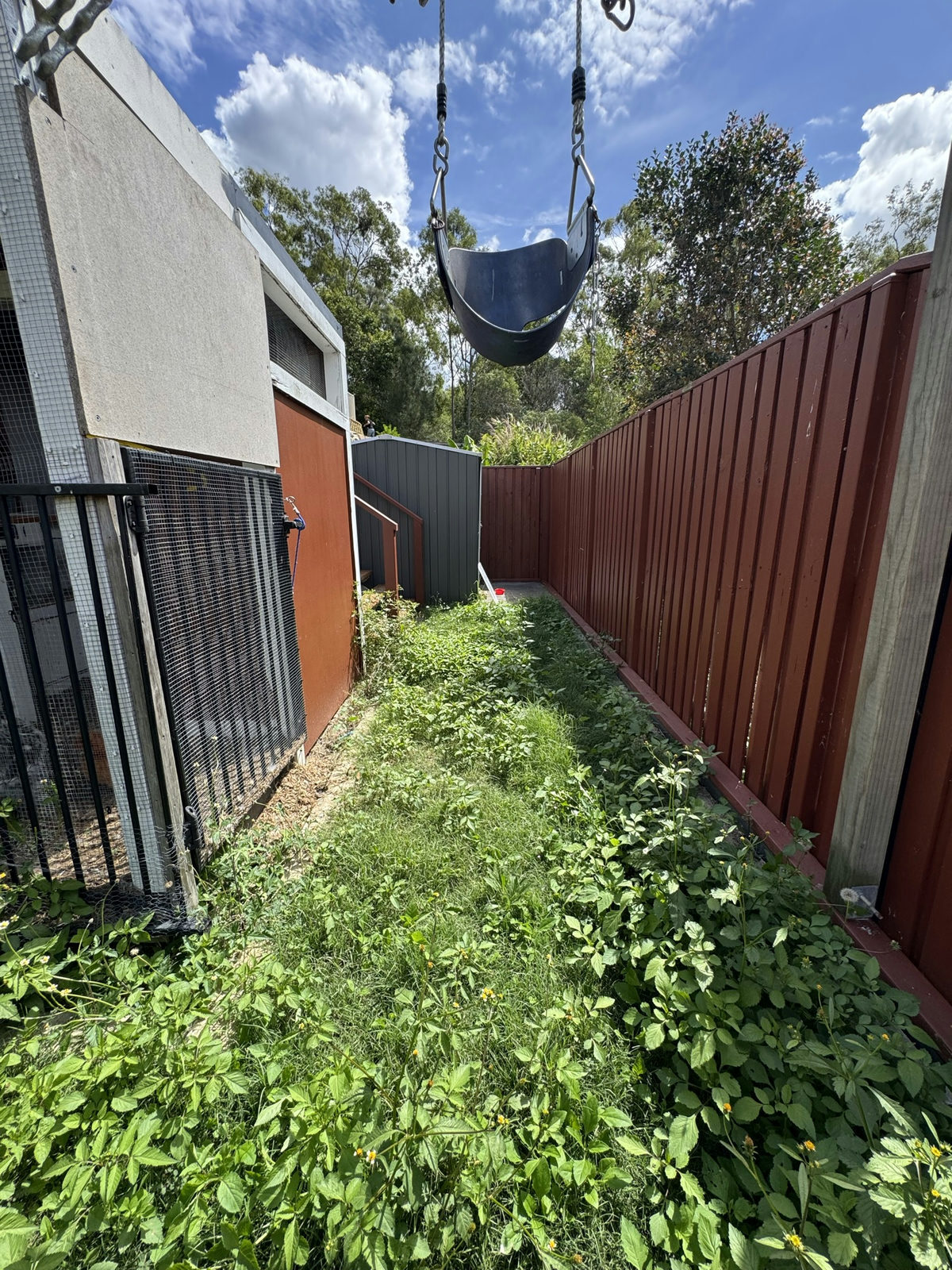 Narrow side access at a Holmview property overgrown between the building and the boundary fence