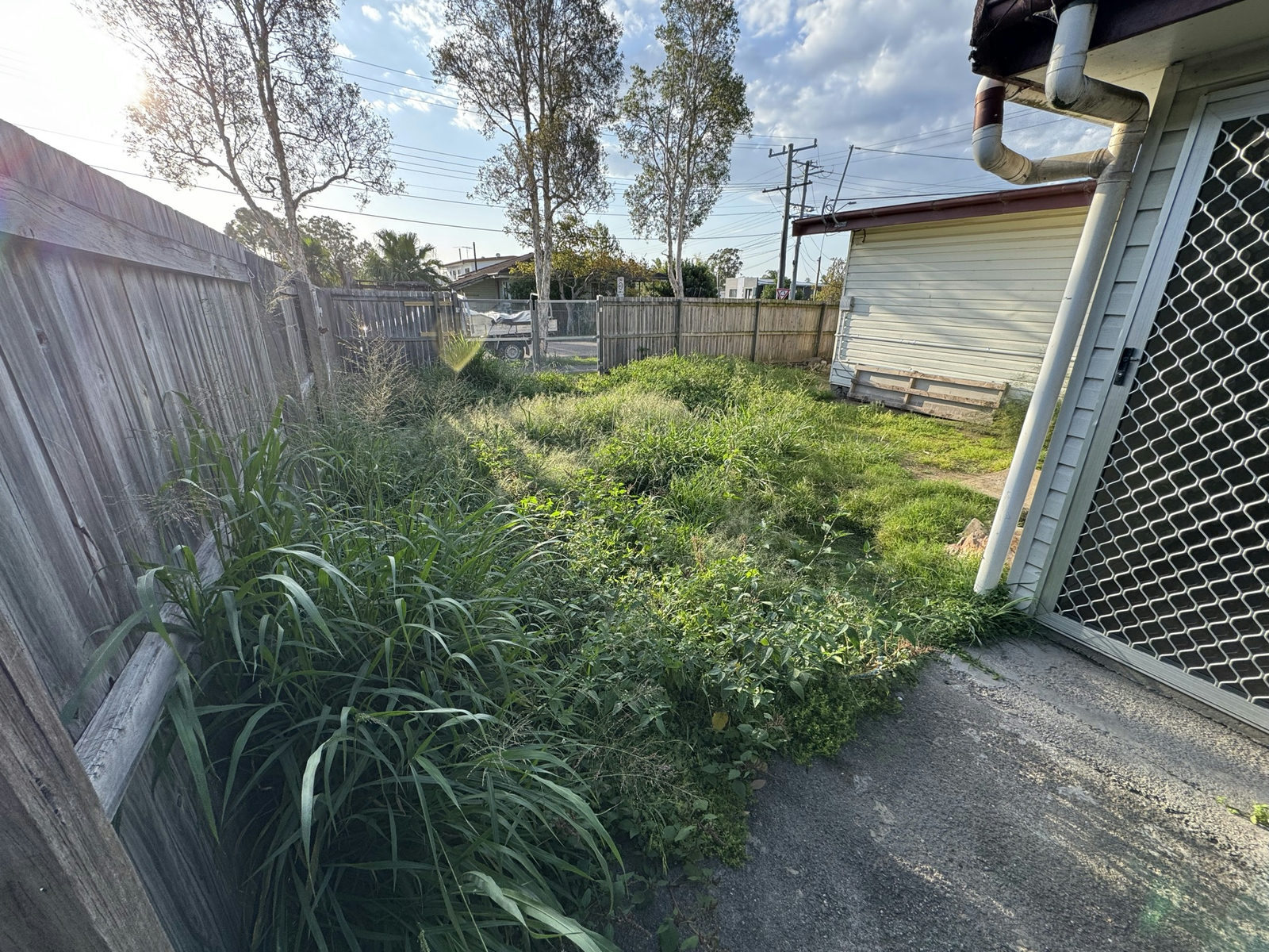 Overgrown side yard at a Logan Central rental with tall grass against the house