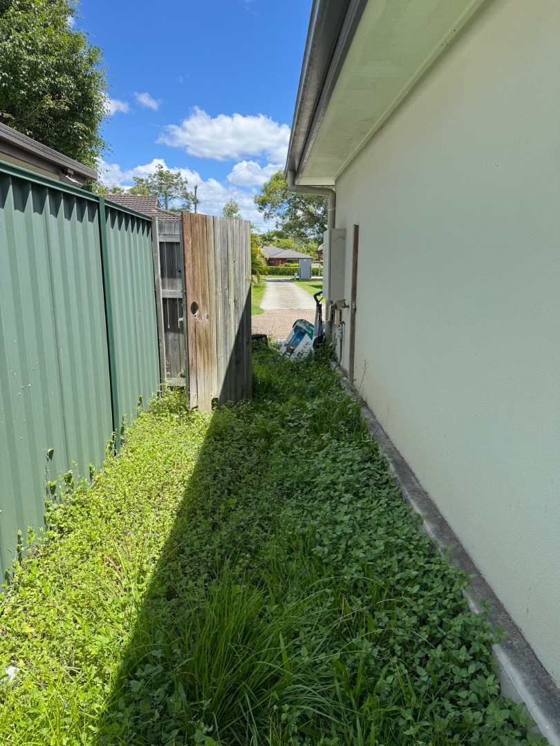 Thumbnail before: We removed rubbish from this property for the owner - before and after comparison