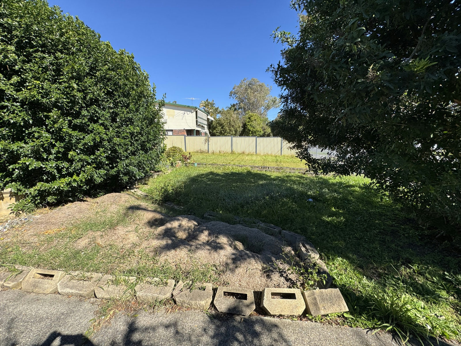 Marsden back lawn with long grass growing over its concrete block garden edging