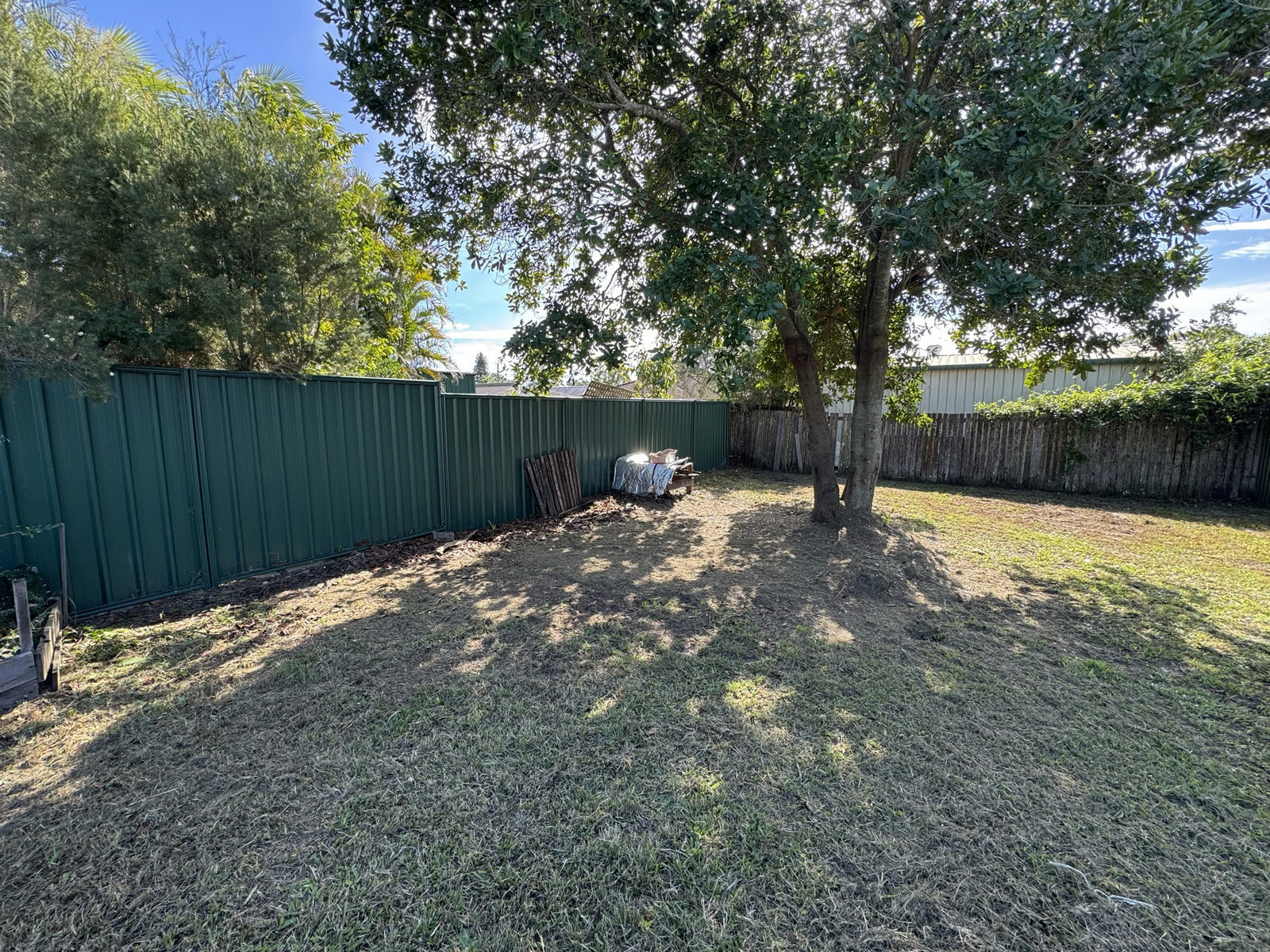 Cleared Waterford West backyard with open lawn under the established shade tree and debris removed