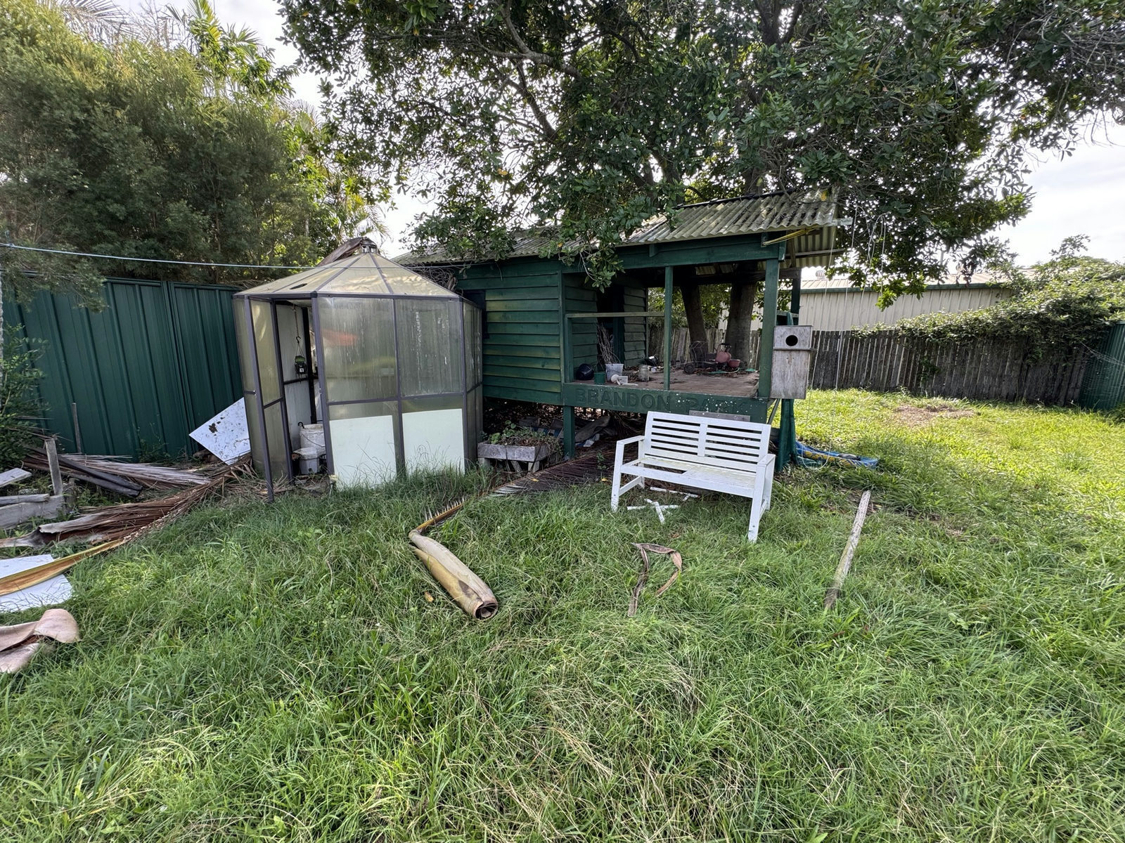 Waterford West backyard with a garden shed and aviary surrounded by discarded timber and long grass