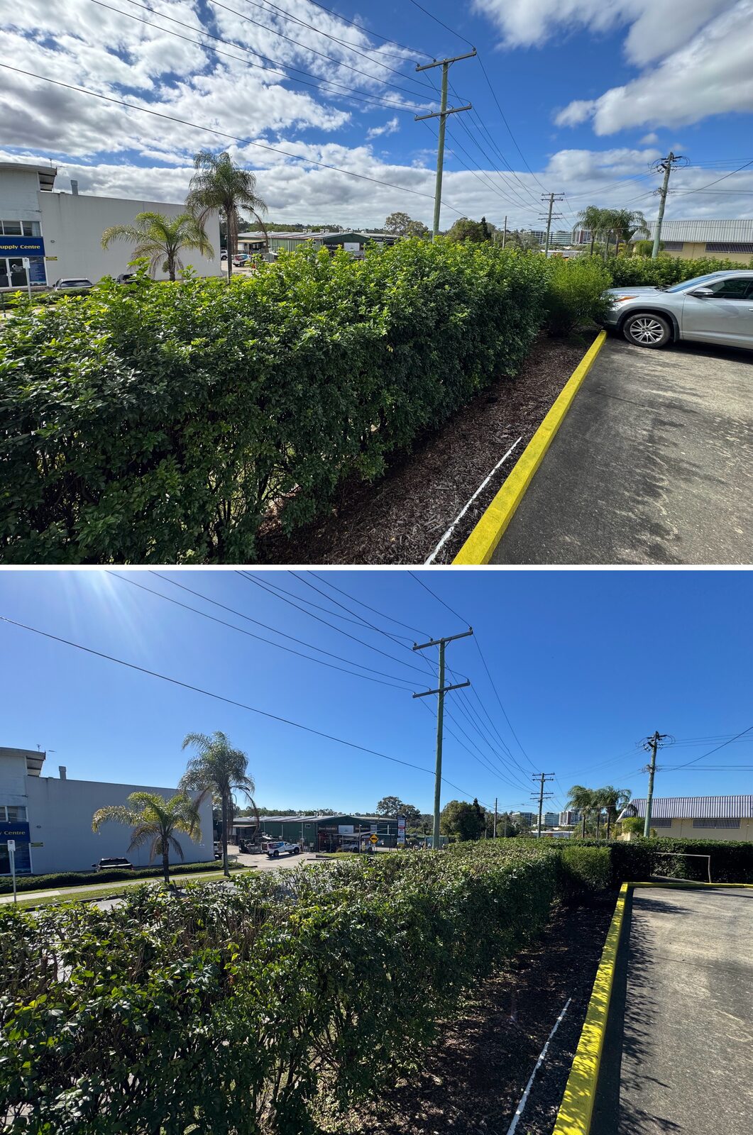 Car park bays before and after hedge clearance