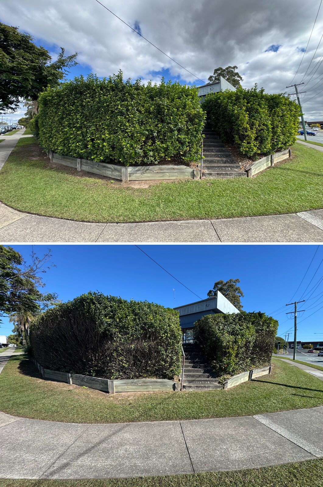 Corner hedge before and after reduction