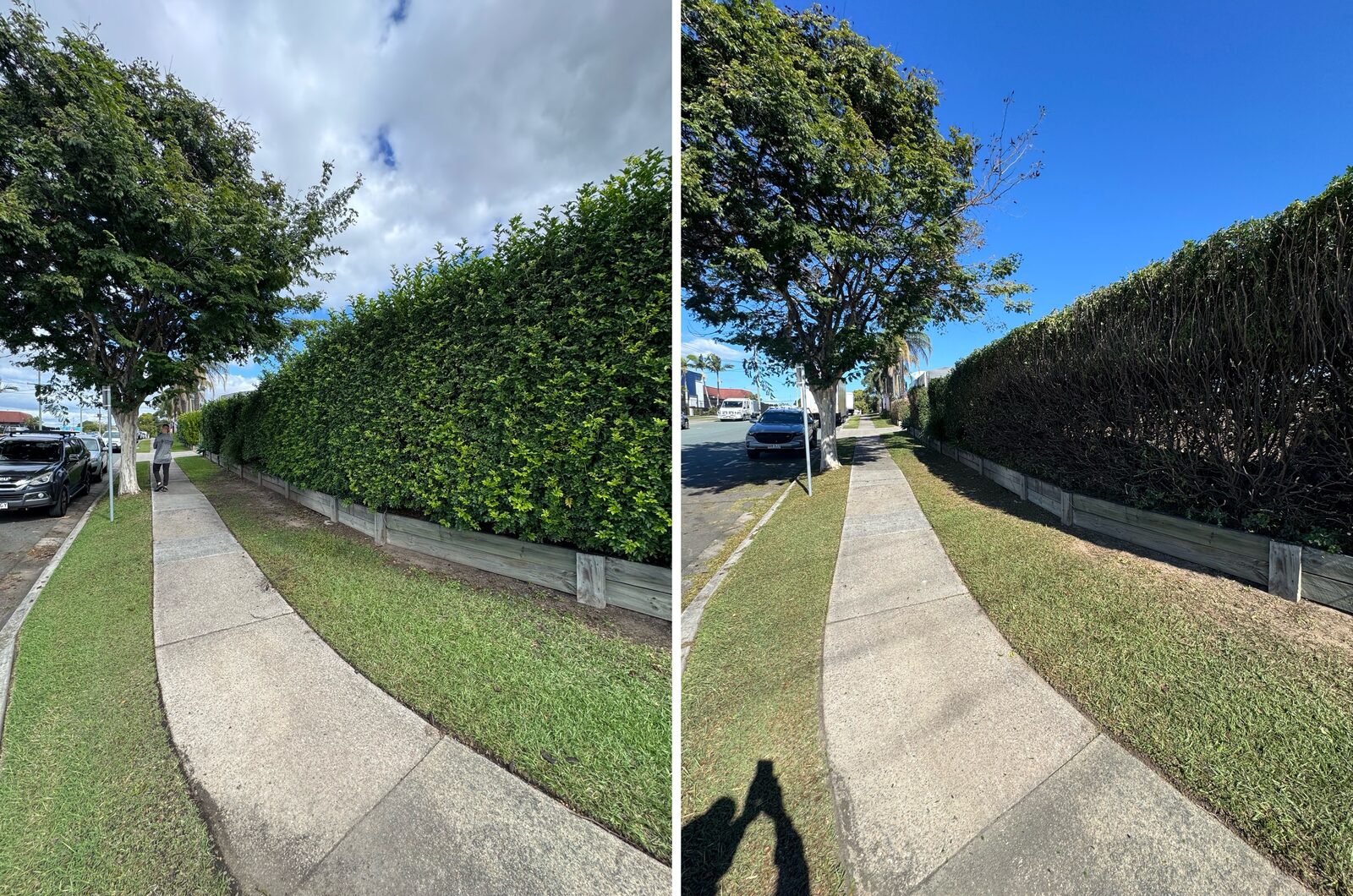 Hedge along the footpath before and after
