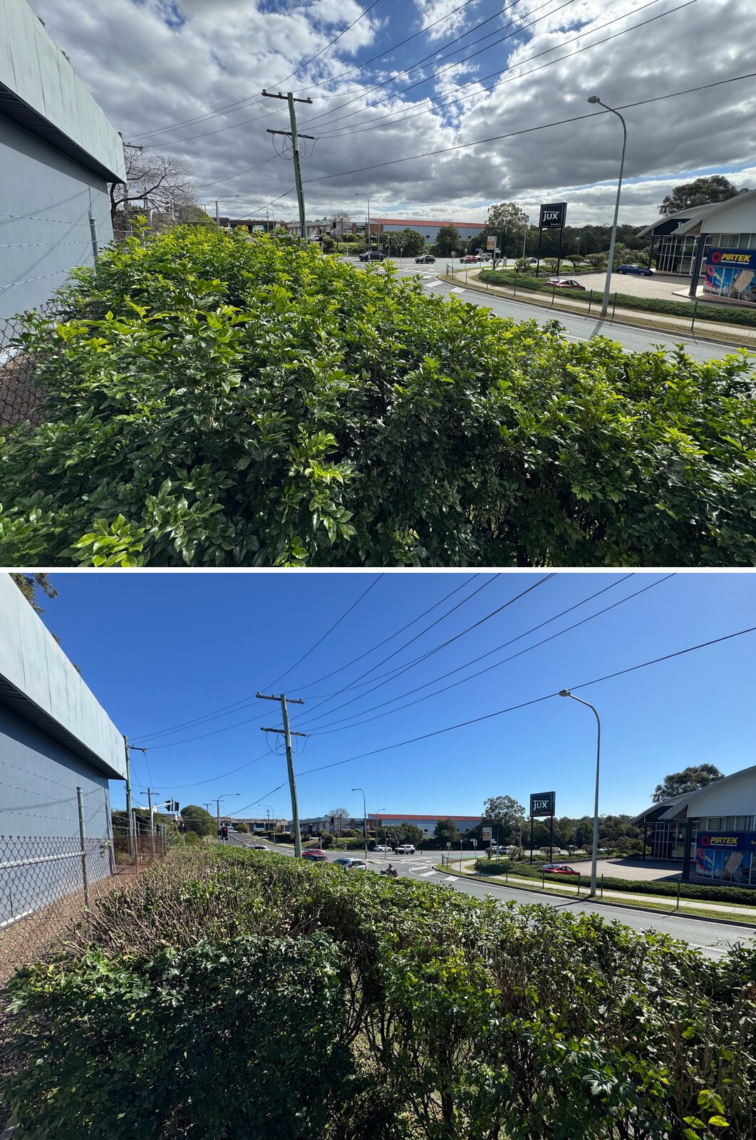 Commercial frontage hedge before and after height reduction