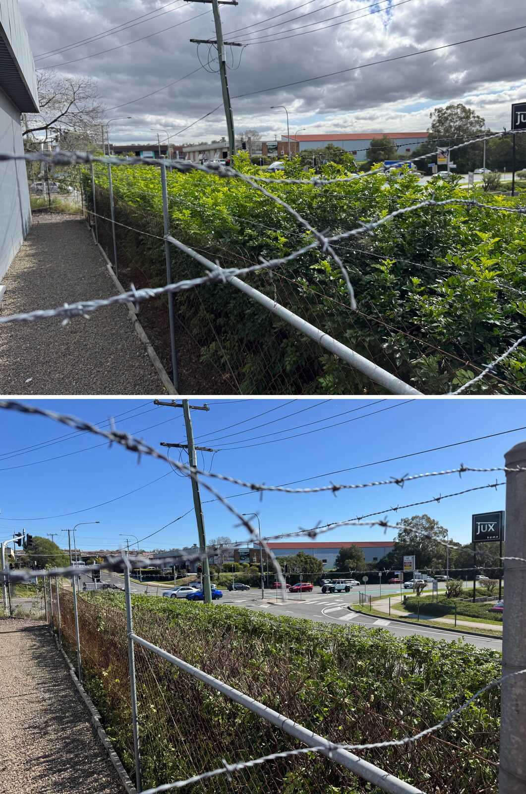 Hedge above the security fence before and after reduction