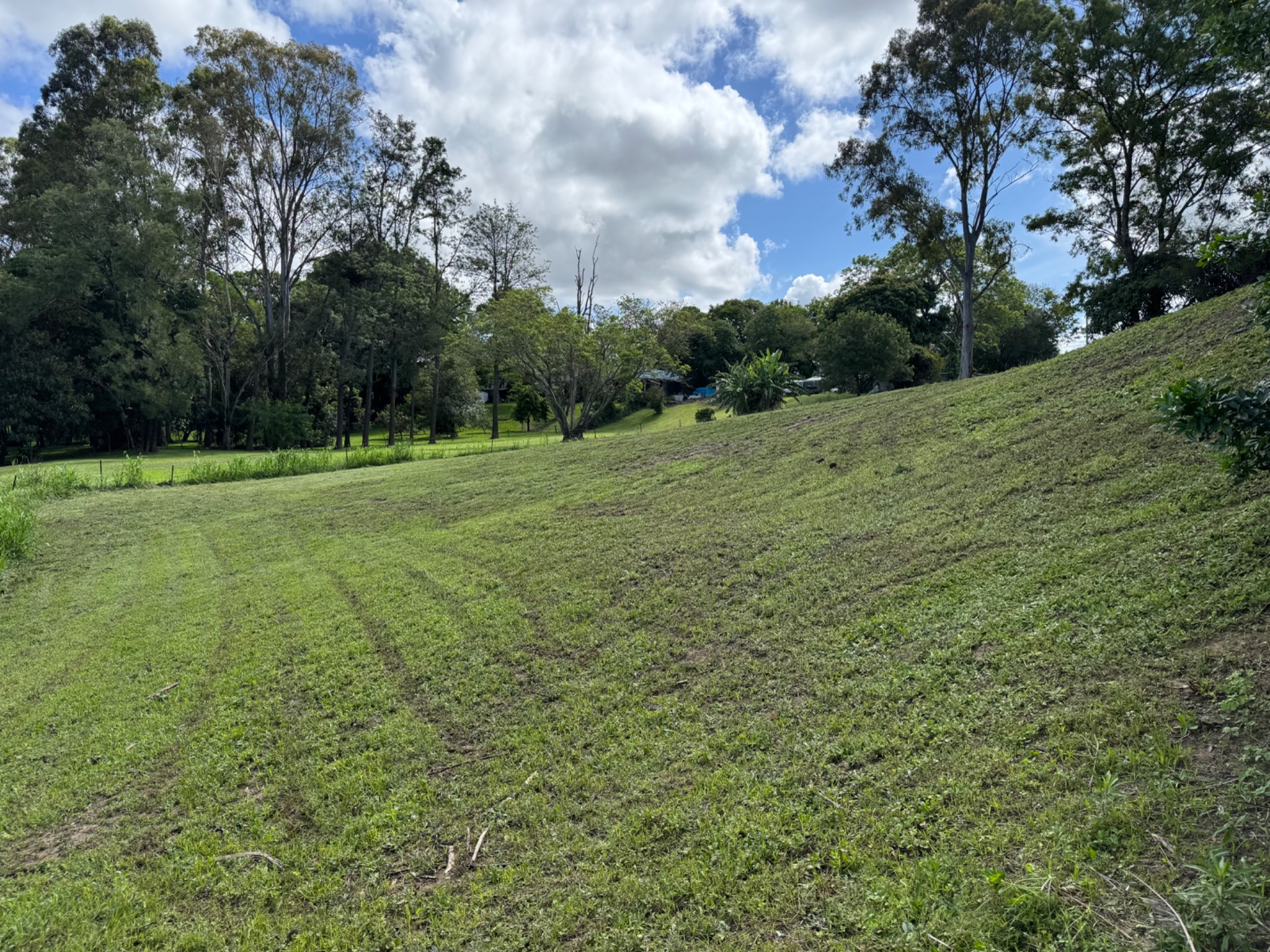 After: Lawn mowing transformation in Loganlea