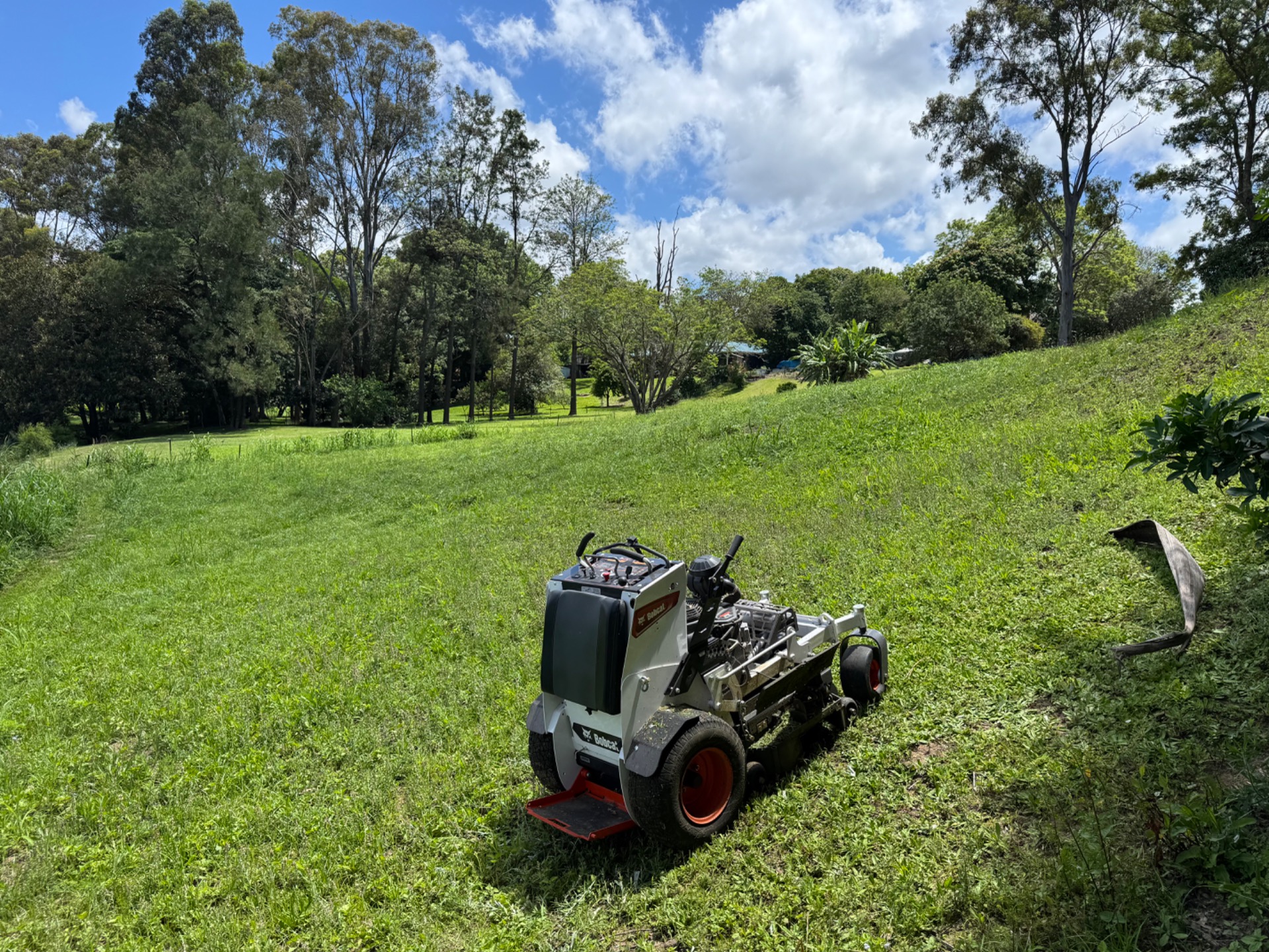 Before: Lawn mowing transformation in Loganlea